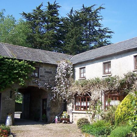 Ballinacourty House B&B Tipperary Exterior foto