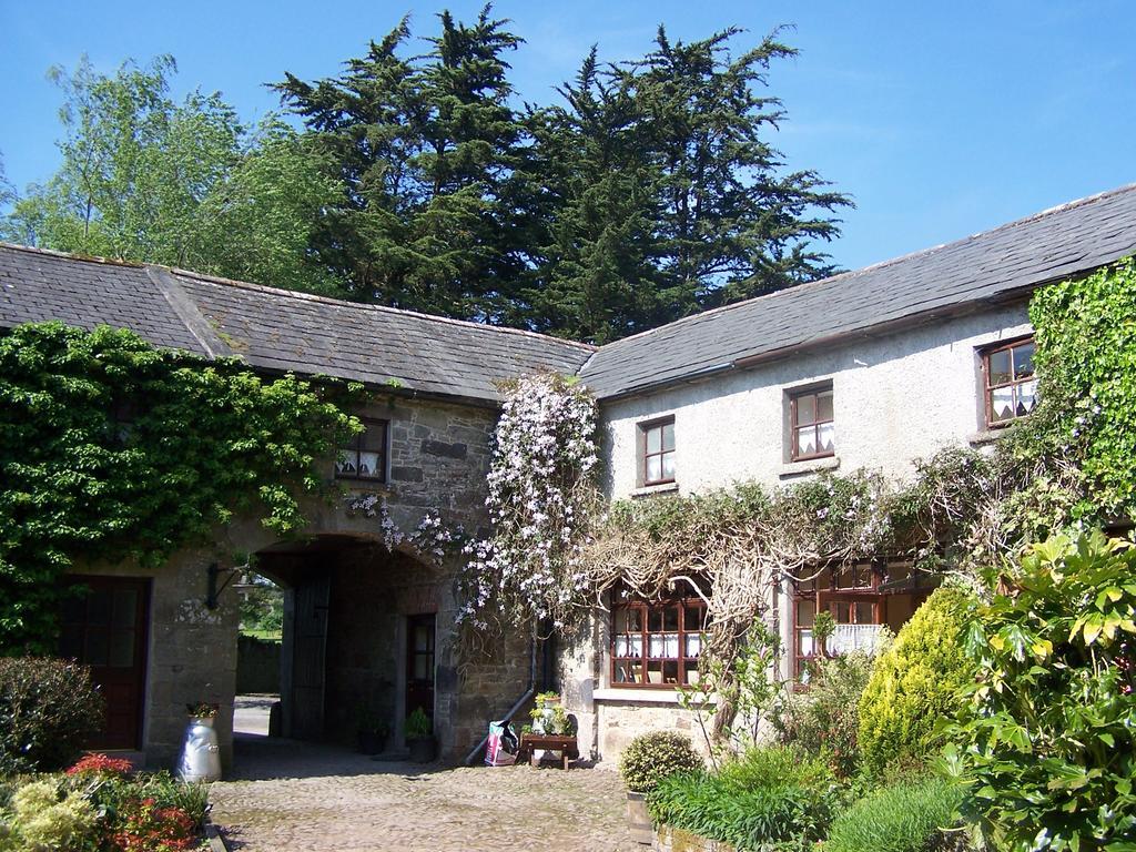 Ballinacourty House B&B Tipperary Exterior foto