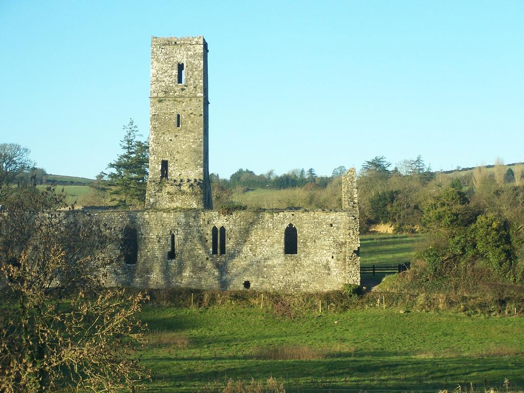 Ballinacourty House B&B Tipperary Exterior foto